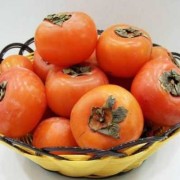 孕期能吃柿子吗（孕期能吃柿子吗对胎儿有影响吗）