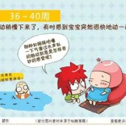胎儿胎动（宝宝什么时候有胎动）
