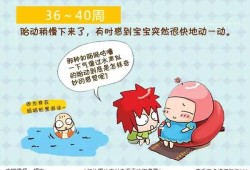 胎儿胎动（宝宝什么时候有胎动）