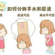 孕期下面流水（下体会流水但无色无味是怎么回事）