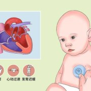 单心室的胎儿（单心室的胎儿能生吗）