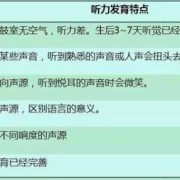 胎儿听觉发育（40天的宝宝有听力吗）