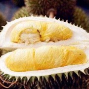 榴莲对孕妇有什么好处和坏处,孕期可以吃榴莲不