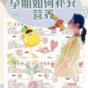 孕期怎么补充营养（孕期怎么补充营养）