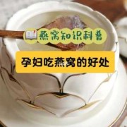 孕期怎么吃燕窝（孕妇可以吃燕窝吗）