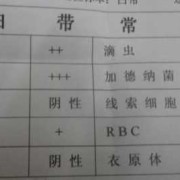 孕期白带常规