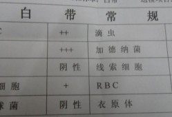 孕期白带常规