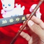 胎儿毛笔（孕期能学点什么）