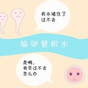 孕期积液增多（水量大的原因是什么）