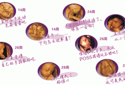 整个孕期要做几次四维彩超？一般只做1次就可以吗,怀孕期间做几次四维彩超合适