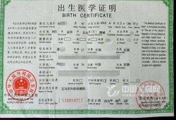 胎儿血型（出生证上会写宝宝的血型吗）