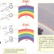 自然发动是什么原理,胎儿发动的原理是什么