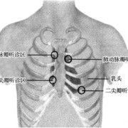 胎儿心音（胎儿心音听诊正确的是）