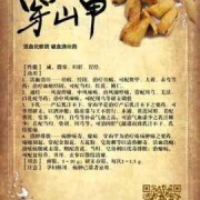 中药对怀孕有影响吗？一直在吃中药调理身体,穿山甲胎儿占母体大