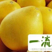 柚子多大宝宝可以吃,备孕期间可以吃柚子吗女性