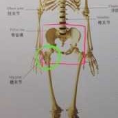 孕期髋骨（孕期髋骨疼是怎么回事）