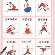 孕妇瑜伽用的工具,孕期工具书