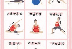 孕妇瑜伽用的工具,孕期工具书
