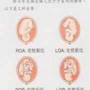 左侧睡会压到胎儿吗（左侧睡会压到胎儿吗）