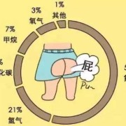 早孕期屁多（怀孕初期放屁多是怎么回事）