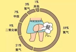 早孕期屁多（怀孕初期放屁多是怎么回事）