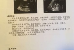 胎儿脾超声（肝胆胰脾肾彩超需要空腹吗）