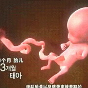 胎儿老动（怀孕35周了，宝宝胎动还是很频繁怎么回事）