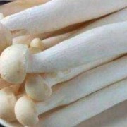 孕期可以吃哪些海鲜（孕妇可以吃海鲜菇吗）