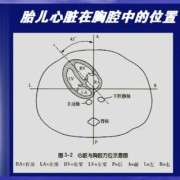 胎儿超声心动图（胎儿超声心动图一定要做吗?需要注意什么呢）