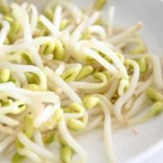 孕期吃豆芽（孕期吃豆芽好不好）