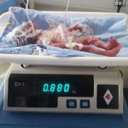 多少克是一斤胎儿（宝宝880克有多少斤）