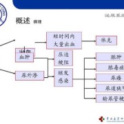 泌尿系统感染的检查方法,胎儿泌尿系统怎么检查最准确