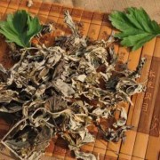 孕期可以吃艾草吗（孕期可以吃艾草吗冬天）