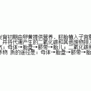 胎儿的营养（胎儿的营养从母体哪里获得）