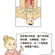 怎么让胎儿转身（怎么让胎儿转身）