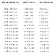 胎儿bpd对照表（胎儿bpd标准对照表）