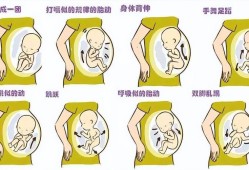 孕八个月胎儿图片（怀孕八个月了胎动鼓包一摸还可硬是怎么回事）