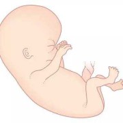 孕7个月胎儿图（怀孕7个月肚子一跳一跳的怎么回事）