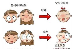胎儿的肤色（胎儿的肤色是怎么决定的）