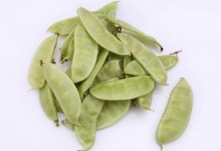 孕妇可以吃扁豆吗,孕期能吃扁豆吗?