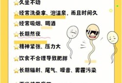 男性备孕期间要注意什么（男士备孕最好的怎么做）