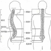 孕期尾椎骨痛（孕期尾椎骨痛什么原因引起的）