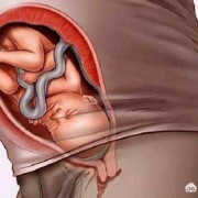 35周胎儿发育标准图片（35周胎儿发育标准图片大全）