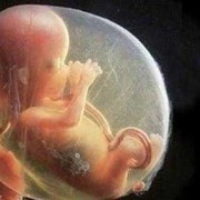 32加4胎儿（怀孕32周，想咨询一下宝宝大概有多大）