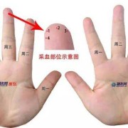 孕妇如何检测血糖？要抽血吗？还是扎手指就可以了,孕期抽血检查需要空腹吗