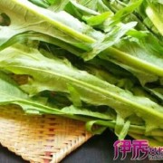 孕妇吃苦菜对胎儿好吗（孕妇吃苦菜对胎儿好吗）