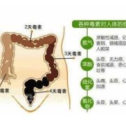 孕妇便秘使劲拉屎对宝宝会不会有影响,孕期便秘的危害及注意事项