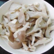 孕期可以吃平菇吗（孕期可以吃平菇吗有营养吗）