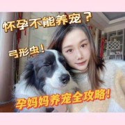 孕期科学养狗（孕妇科学养狗）