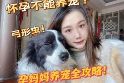 孕期科学养狗（孕妇科学养狗）
